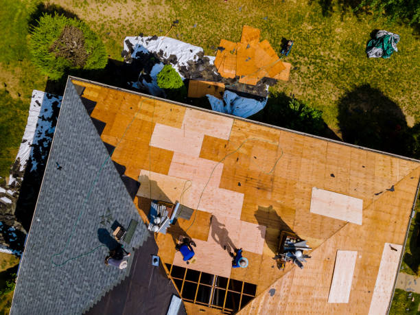 Best Metal Roofing Contractor  in Milton, LA